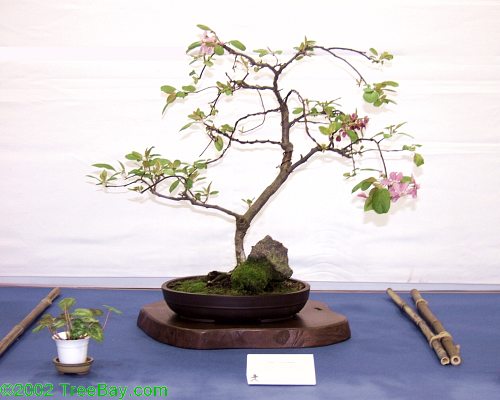 2002Betsuin 103_adj.jpg
